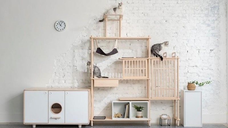 Pampered Paws and Happy Purrs: Design Your Home into a Pet Paradise.
